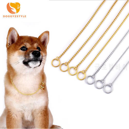 7 Size Gold Silver Pet Stainless Steel P Chain Snake Chain Cat Dog Necklace Pet Show Training Choker Collars Dog Leash Pet Items