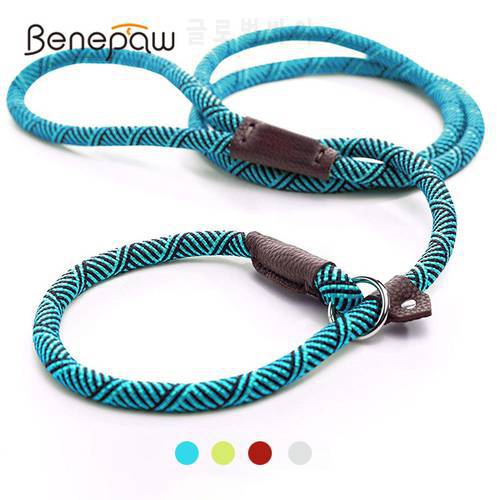 Benepaw Durable Slip Rope Dog Leash Collar 2 In 1 Adjustable Loop Collar Comfortable Small Meidum Large Pet Harness Leash