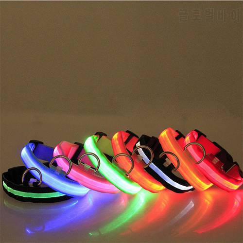 New Transer Creative Hot Safety Pet Collar For Lighted Up Nylon LED Dog Collar Advanced Glow Necklace Shipping oT26 P40