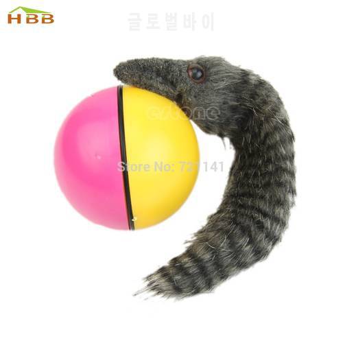 Beaver Weasel Rolling Motor Ball Pet Cat Dog Kids Chaser Jumping Fun Moving Toy XY