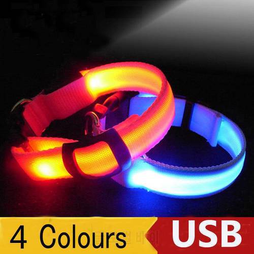 USB Rechargeable LED Dog Pet Collar Flashing Luminous Safety Light Up Nylon Dog Collar Pet Accessories for Dogs LED Collars CA