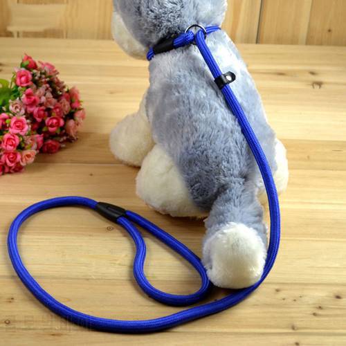 Pet Dog Accessories P Leash Leash For Dog Lead Rope Hot New Releases Dog Slip Collar Traction Ropea Djustable Chain Leash