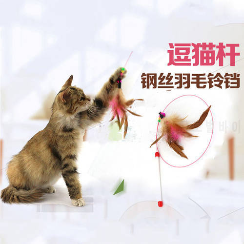 110cm Plastic Metal Wire Feather Cat Teaser Wand Toy Cat Catcher Teaser Sticks Cat Interactive Training Toys Cat Toy