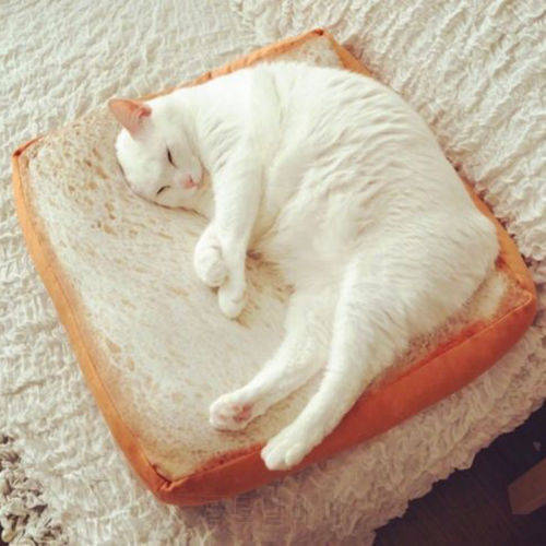 Novelty Pet Soft Sponge Cushion Mat Toast Bread Shaped Creative Washable Mattress Cat Dog Sleep Play Rest Seat Bed Pad Xmas Gift