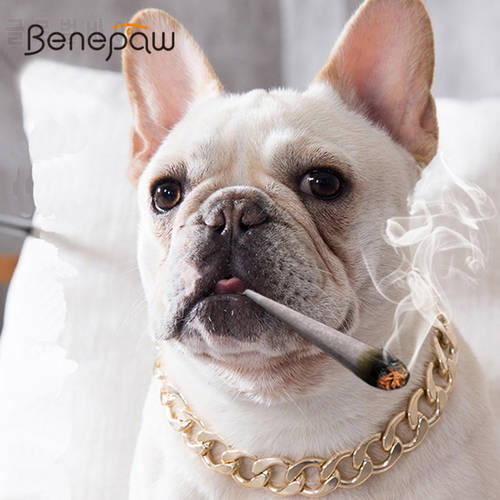 Benepaw Fashion Strong Metal Dog Collar Chain Heavy Duty Training Pitbull Pet Collar Necklace For Small Medium Large Dogs