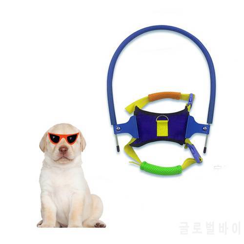 Pet Safe Halo Harness For Blind Dogs Blind Pet Anti-collision Ring Scorpion Cataract Animal Protection Circle Guide Dog Harness