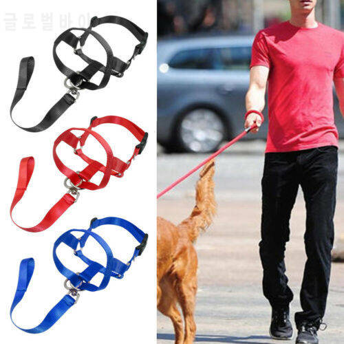 Pet Dog Head HHalti Training Collar Stop Pulling Gentle Harness Safe Strap wholesale
