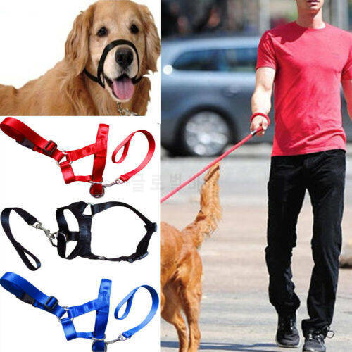 Training Puppy Head Collar HPet Mouth Traction Set Dog Muzzle Strap S-XXL