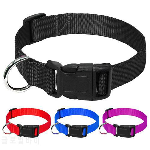 20pcs/lot Wholesale Nylon Dog Collar Cheap Adjustable Dogs Collars For Small Medium Pets Cats Red Blue Black Purple