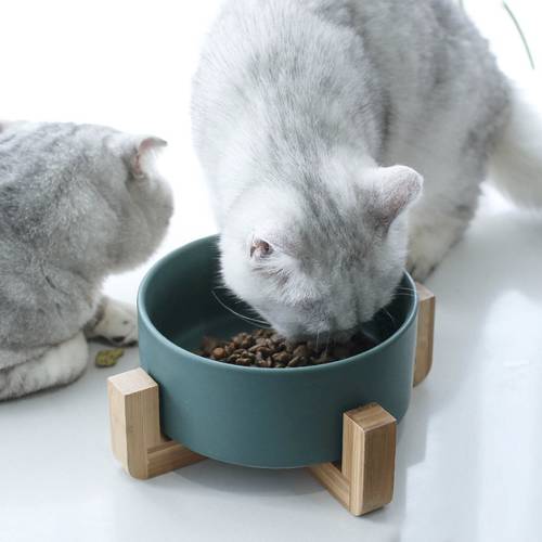 Ceramic Raised Cat Bowl Food Water Dog Basic Bowl with Anti-Slip Wooden Stand Protect Neck Joints Pet Feeding Bowls Easy toClean