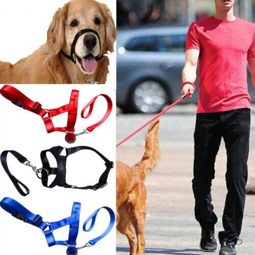 Nylon Dogs Head Collar Dog Training HBlue Red Black Colors S M L XL XXL Sizes