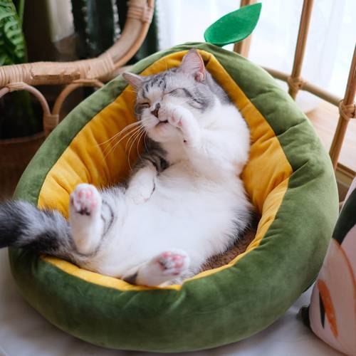 Pet Cat House for Dog Mat Warm Bed Cute Small cats Beds Nest for Dogs Avocado Shape Sleeping Bags Comfortable Kennel Sofas