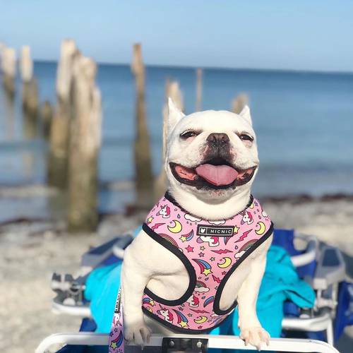 Fashion Pink Unicorn Print French Bulldog Harness Pet Dog Vest Harness for Small Medium Dogs Chihuahua Pug Leash S-XL