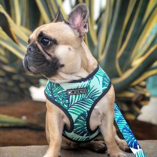 Fashion Soft Breathable Air Mesh Puppy Dog Pet Harness Frenchg Bulldog Product for Small Medium Dog Chihuahua Vest Leash S-XL