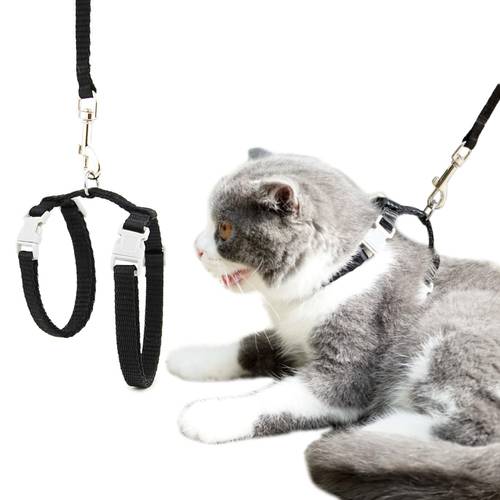 Cat Dog Collar Harness Leash Adjustable Nylon Pet Traction Cat Solid HCollar Cats Products Pet Harness Belt for Size M