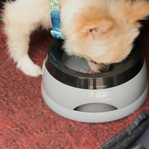 Dog Bowl Non-Wetting Pet Mouth Bowl Splash-Free Cat Bowl Without Spill Drinking Water Portable Pet Bowl