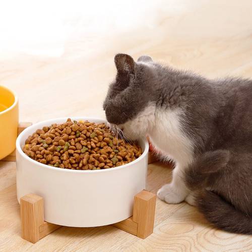 Pet Feeder Ceramic Bowl with Wear-resistant Non-slip Bamboo Stand Cats Dogs Bowls Easy to clean Drinking Supplies