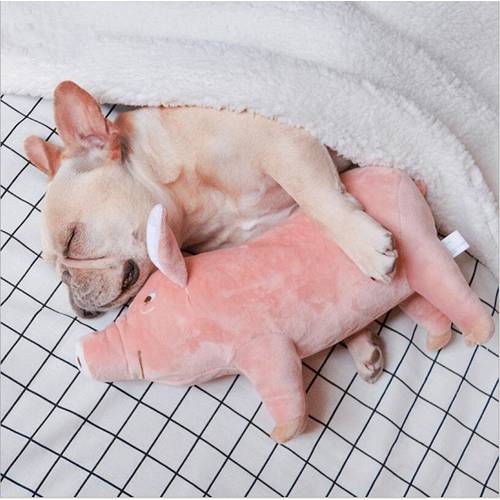 Pet Dogs Sleeping Pigs Toys Warm Soft Plush Cotton Sleeping Partner for Puppy Dog Chewing /Interactive Toy Pet Supplies