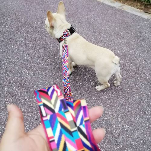 Pet Product For Dog Pet Collar Leash Nylon High Quality Multiple Series Colorful Fashion New Design Dog Collar Adjustable
