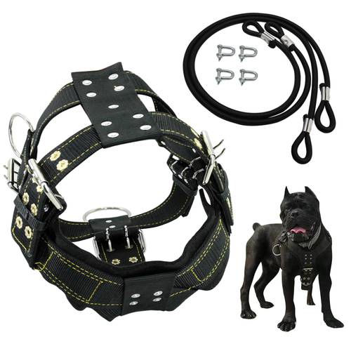 Durable Dog Harness and Leash for Medium Large Dogs Heavy Duty French Bulldog Harness Vest Nylon Training Dog Harness Leads