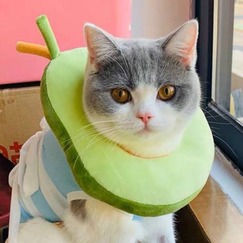 Adjustable Cat Collar Cats Products For Pets Avocado Donut Style Cat Pet Hood Anti-Licking Pet Collar Personalized Pet Supplies