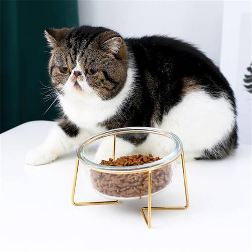 Non-slip Cat Bowls Glasses Single Bowls with Gold Stand Pet Food&Water Bowls for Cats Dogs Feeders Pet Products Cat Bowl