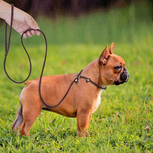 Real Leather P Chain Dog Leash Slip Collar pet Walking Leads Genuine Leather long Dog Rope puppy Traction For small Medium Dogs