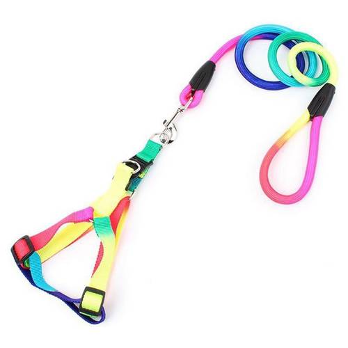 3 Size Small Dog Harness Leash Rainbow Dog Leash Rope Chihuahua/Teddy/Pitbull Pet Harness For Dogs/Cats