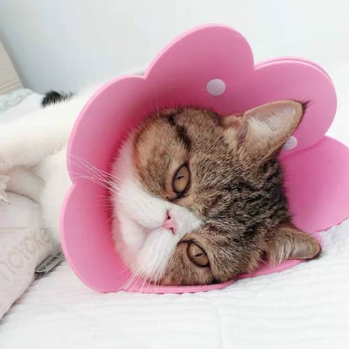 Cats Products For Pets Sun Slower EVA Sponge Light Cat Collar Cover Cat Products Neck Ring Anti-Licking Cat Collar Para Gatos