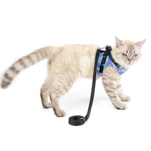 Adjustable Pet Cat Harness and Leash for Walking Kitten Small Dog Harness Reflective Puppy Cotton Padded Vest Chihuahua Jacket
