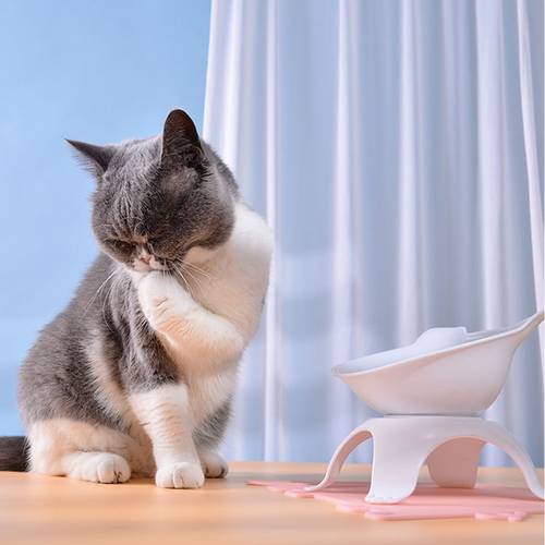 Elevated Bowls For Cats Durable Single Double Cat dog Bowls Raised Stand Cat Feeding & Watering Supplies Dog Feeder Pet Supplies