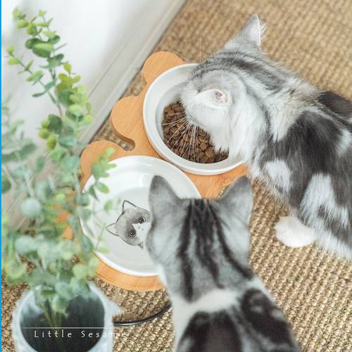 High-end Pet Bowl Bamboo Shelf Ceramic Cat Bowls for Feeding and Drinking Pet Bowls For Dogs and Cats Feeder Pet Accessories