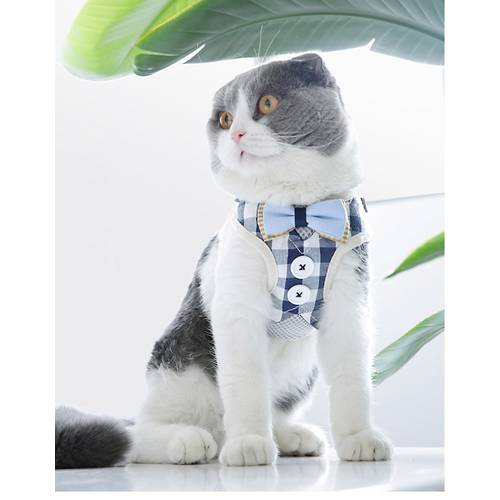 Cute Cat Harness and Leash Set Nylon Mesh Pet Puppy Harness Lead Cat Collar Clothes Vest For Small Cats Dogs Kitten Pet Supplies
