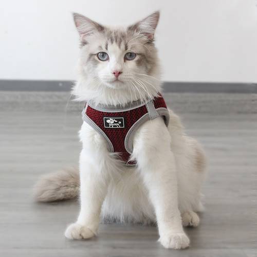 Reflective Pet Cat Vest Harness and Leash Set Honeycomb Breathable Puppy Cat Harnesses Katten Gota Mascotas Accessories for Cats