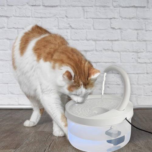 Pet Cat Dog Fountain 2L LED Blue Light USB Powered Automatic Water Dispenser Cat Feeder Drink Filter For Cats Dogs Pet Supplier