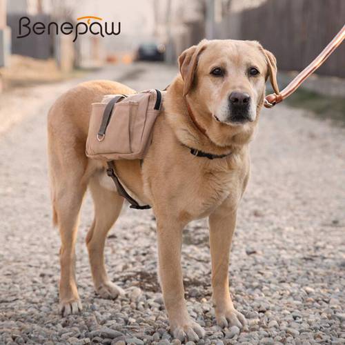 Benepaw Quality Large Dog Backpack for Hiking Traveling Camping Training Lightweight Cotton Canva Pet Saddle Bag Adjustable