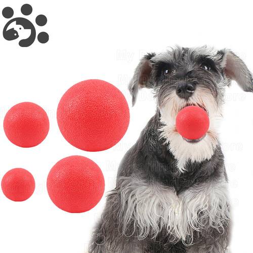 Solid Dog Ball Toy Rubber Elastic Ball Toys for Large Small Dogs Chew Toy Pet Interactive Bite Balls Biting Resistance Dog Train