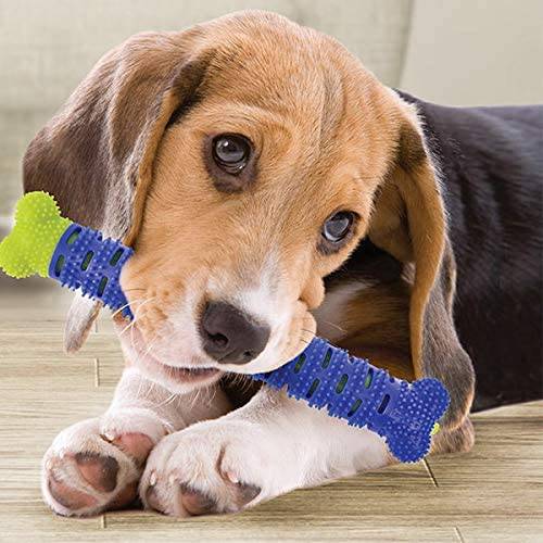 Chewbrush Toothbrush Dog Toothbrush Molar Teeth Cleaning Stick Pet Squeaky Chewing Toys Cleaning Toy Dental Care for Puppies Pet