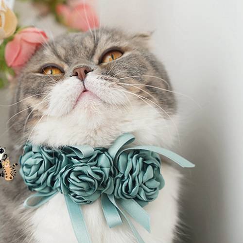 [MPK Cat Collars] Rose Collar for Cats, Cat Bow Tie, Pet Collar, Cat Assessories