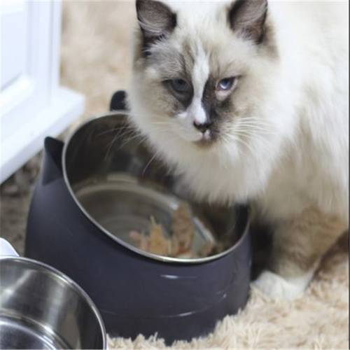 Stainless Steel 400ml Cat Bowl Raised No Slip Elevated Stand Tilted Feeder Bowls For Cats Dogs Feeders Cat Bowl