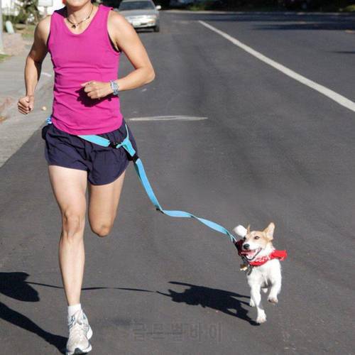 1PC Adjustable Nylon Pet Led Dog Collar Harness For Small Accessories Running Leash Sport Walking Jogging puppy Product Dog I5C9