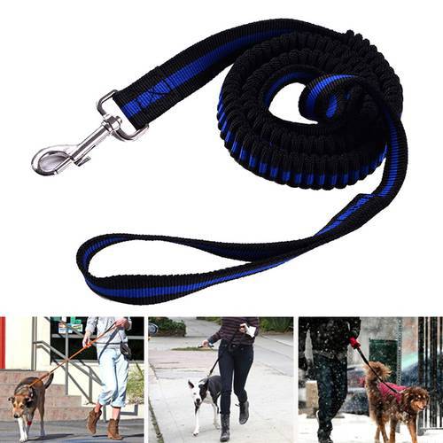 Elastic Dog Leash Rope Retractable Dog Running Leashes Hands Freely For Walking Pet Jogging Pet Stretch Traction Rope Leashes