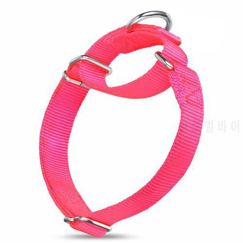 Martingale Nylon Dog Collar For Small Mid and Big Dogs