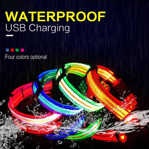 Waterproof Nylon Pet Dog Collar LED USB Rechargeable Reflective Luminous Collar Perro Led Glowing Dog Light Night Safety Collars