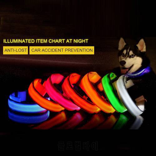 LED Dog Collar light rechargeable Luminous Collars Dog Leash Walking Safe Pet Supplies led dog collar light