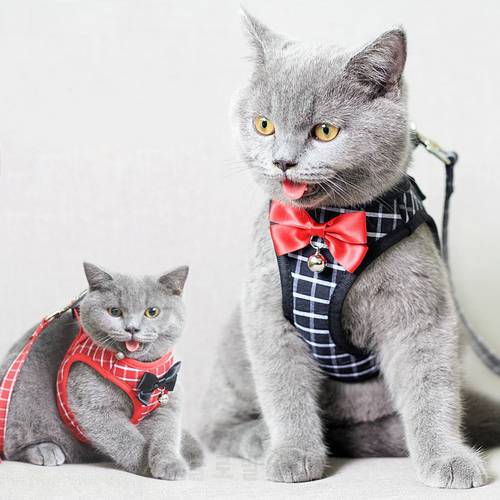 Pet Harness Polyester Cotton Is Light And Breathable for Heat Dissipation Traction Rope Suit Puppy Dog Vest Kitten Chest Back