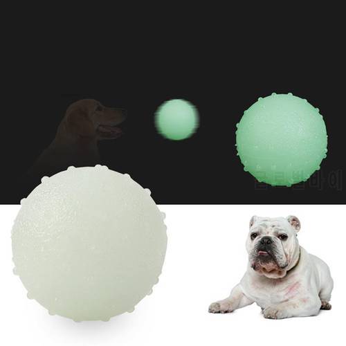 Bite Resistant Funny Pet Ball Solid Glow In The Dark Flexible Pet Teething Toy Pet Chew Ball For Dog Pet Supplies High Quality