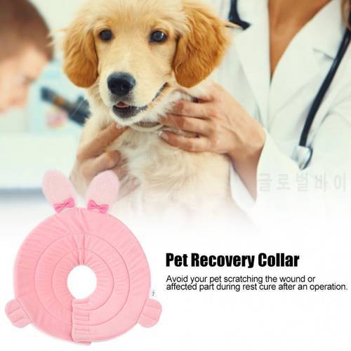 Cartoon Rabbit Cute Pet Protective Collar Cat Dog Wound Healing Elizabeth Circle Pet Elizabethan Collar Shaped Dog