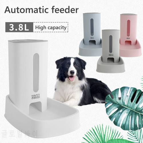 2020 Pet Autommatic Water Feeder/ Feeder device for small cats fmedium dogs bowl cat bowl pet bowl