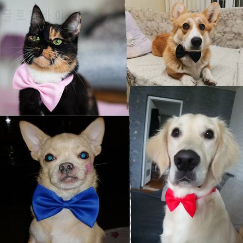 Pet Kawaii Dog Cat Necklace Adjustable Strap for Cat Collar Dogs Accessories Pet Dog Bow Tie Puppy Bow Ties Dog Pet Supplies